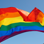 Direito Homoafetivo: A Luta pela Igualdade de Garantias e Direitos
