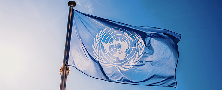 bandeira da ONU