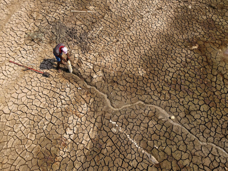 Impacto da seca na Amazônia agravada por mudanças climáticas pode durar até 2026