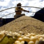 Safras reduz previsão de exportação de soja do Brasil em 2024; colheita vai a quase 30%