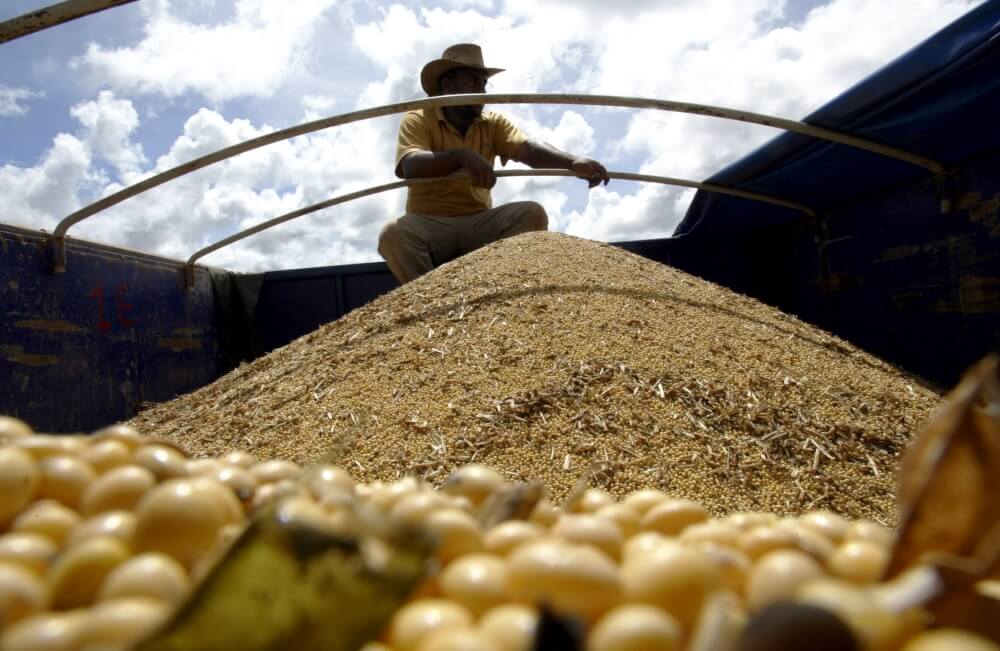 Safras reduz previsão de exportação de soja do Brasil em 2024