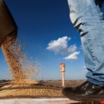 Safras & Mercado eleva estimativas para produção de soja e milho do Brasil