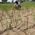Trabalhadores estão cada vez mais em risco com mudanças climáticas, diz OIT