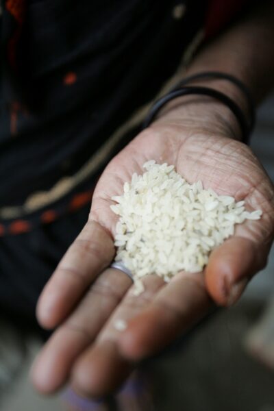 Foto de ima mão segurando grões de arroz
