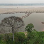 Brasil não tem planos para emissão específica ligada à Amazônia, foca em títulos sustentáveis, diz Tesouro