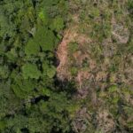 Google comprará créditos de carbono de startup brasileira