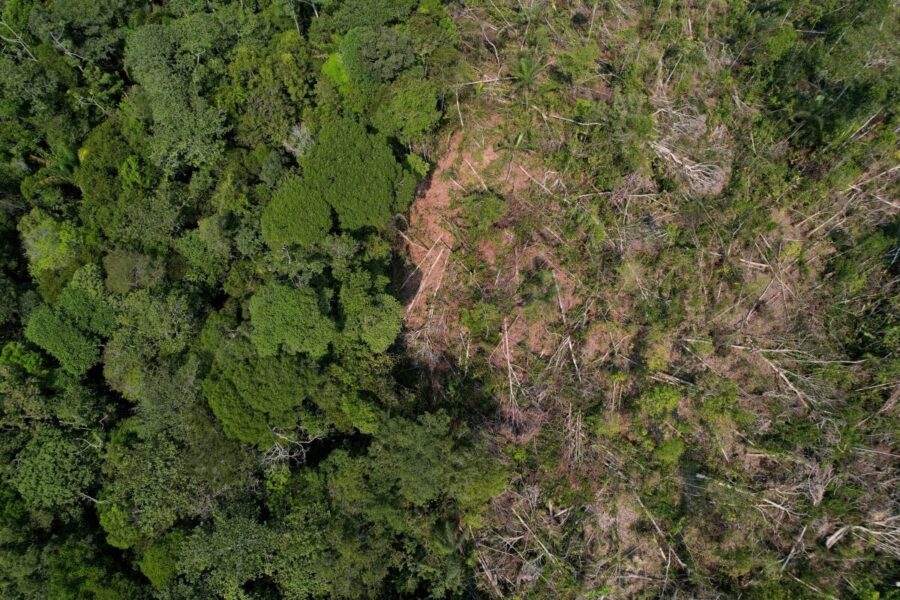 Google comprará créditos de carbono de startup brasileira