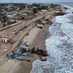 Litoral brasileiro sofre devastação crescente com avanço do mar acelerado por mudança climática