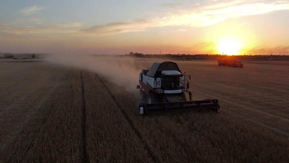 Clima rigoroso reduz produção global de trigo e eleva preços