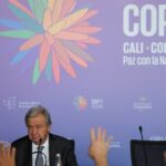 Cúpula COP16 da ONU não deve ter acordo para financiamento da conservação