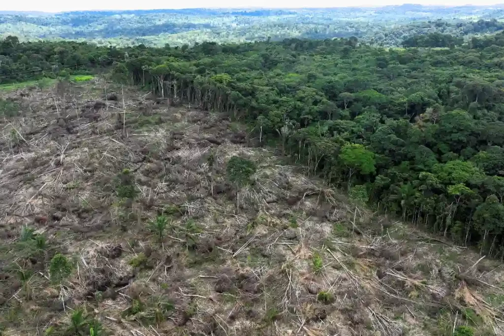 Imagem aérea da floresta sendo desmatada, mostrando a diferença entre a vegetação intacta e a área desmatada. A natureza em conflito com a exploração.