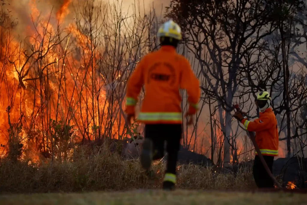 Bombeiros combatendo incêndio em área de vegetação. Com roupas de proteção e equipamentos de combate a incêndio, eles enfrentam chamas intensas.