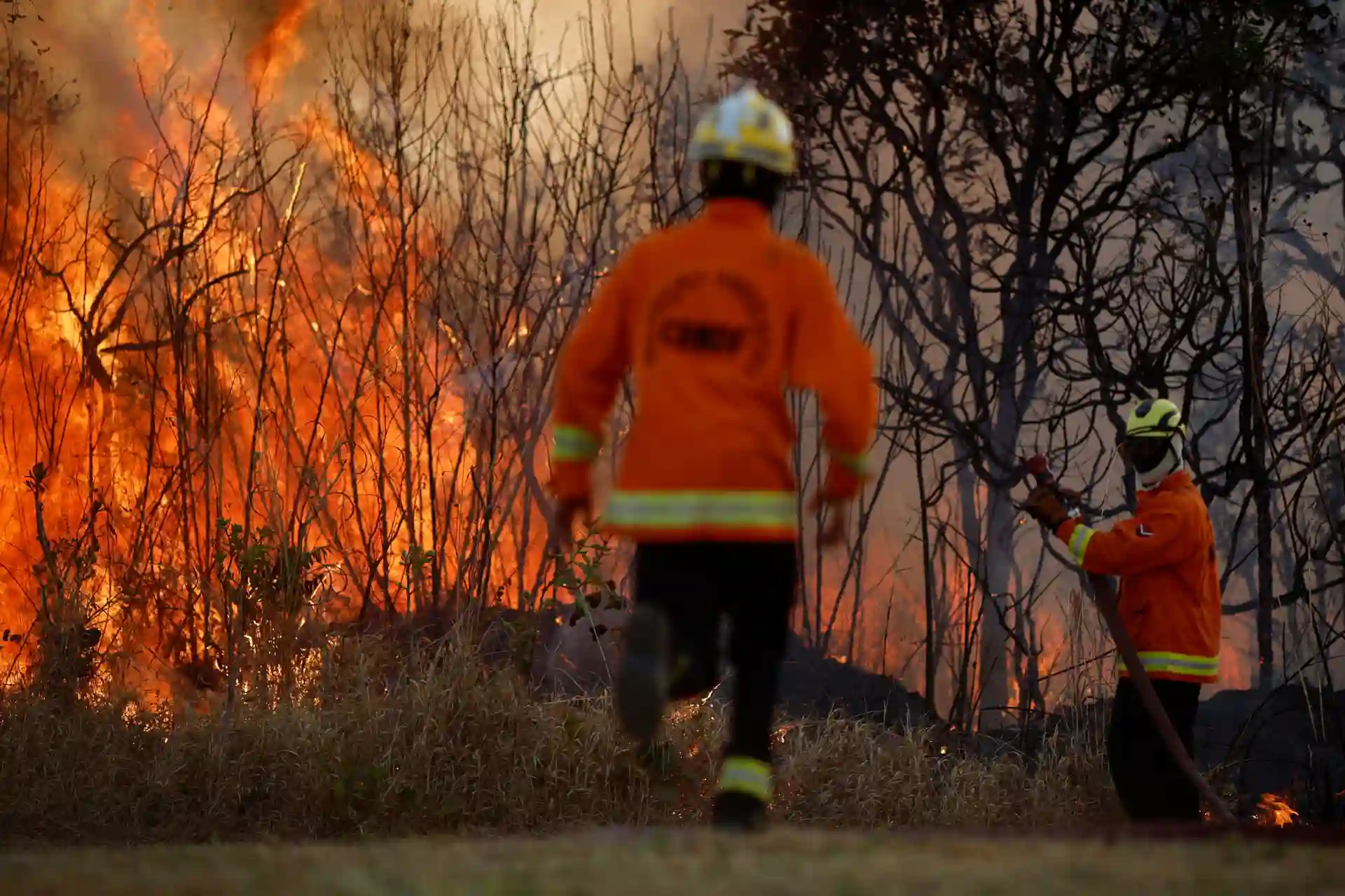 Bombeiros combatendo incêndio em área de vegetação. Com roupas de proteção e equipamentos de combate a incêndio, eles enfrentam chamas intensas.