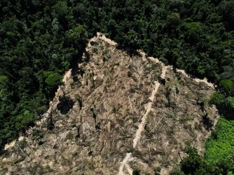 Imagem aérea de área desmatada, mostrando a devastação ambiental e a falta de árvores em meio à vegetação ao redor. O desmatamento é um problema significativo para a biodiversidade.