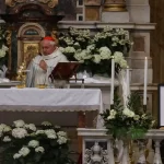 Quem será o próximo papa? Conheça possíveis candidatos