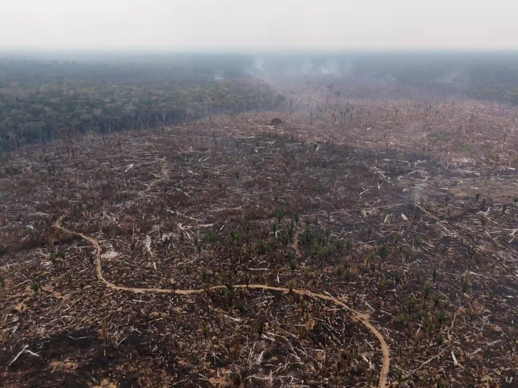 Imagem aérea de desmatamento na floresta amazônica, mostrando árvores cortadas e caminhos abertos na região, evidenciando a devastação ambiental.