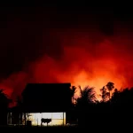 Incêndios na Amazônia provocam perda florestal global sem precedentes em 2024, diz relatório
