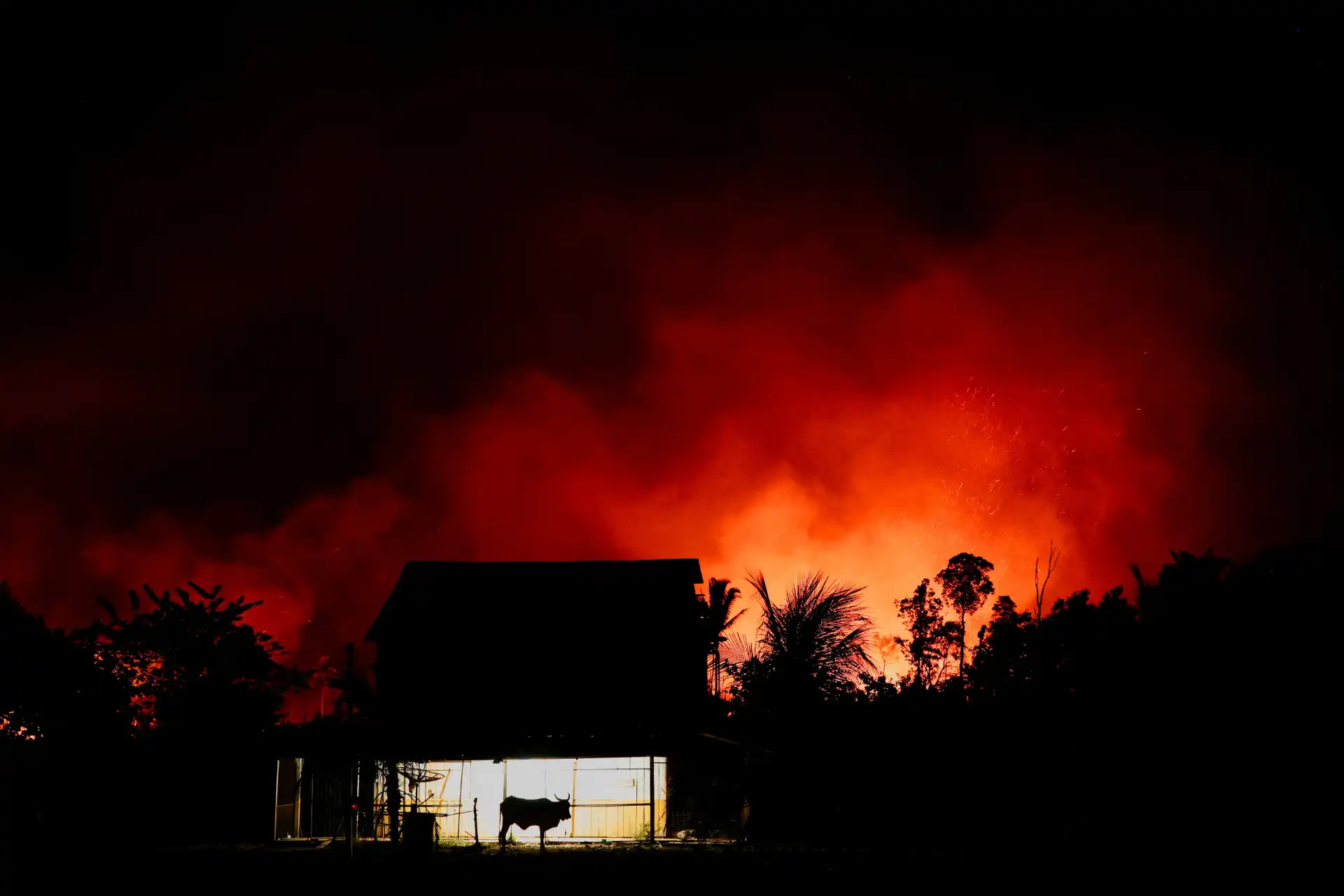 Incêndio devastador em uma floresta, com fogo alto e fumaça densa, visto ao fundo durante a noite, enquanto uma casa e um cavalo estão em primeiro plano, simbolizando ameaça e desastres ambientais.