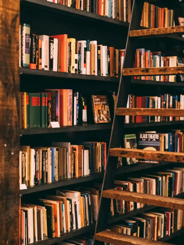 Story Estante de livros com diversas obras empilhadas, com foco em uma livraria ou biblioteca que possui uma decoração rústica e aconchegante.