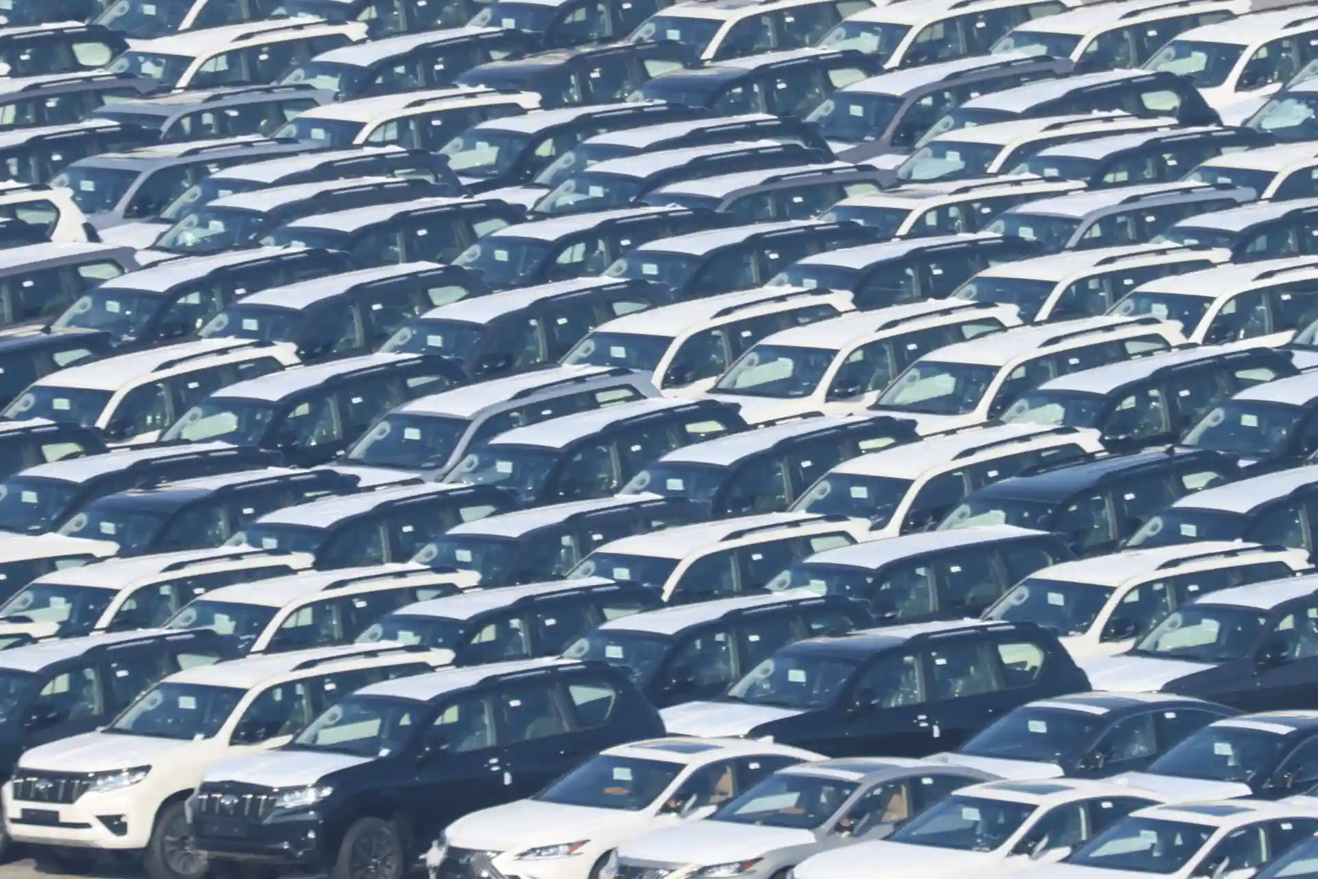 Grande lotação de carros novos de cores variadas em um estacionamento ao sol, indicando oferta de veículos ou feira de automóveis.