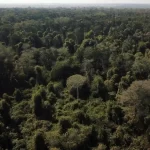 Brasil apresenta fundo de florestas em Nova York a líderes mundiais para angariar apoio e recursos