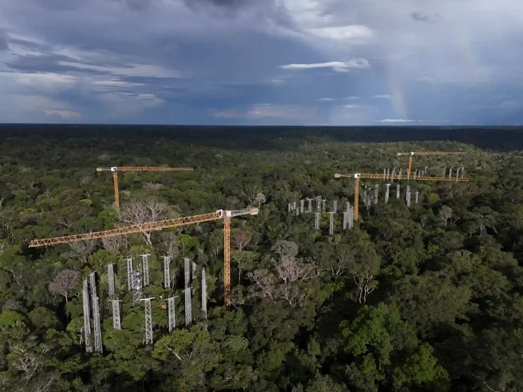 Construção de torres e guindastes em meio à floresta tropical sob céu nublado, indicando uma obra de grande porte na natureza.
