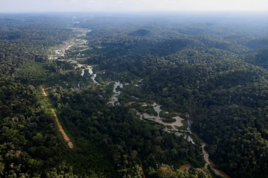Imagem aérea de uma vasta floresta amazônica com rios sinuosos e vegetação densa, destacando a beleza natural da Amazônia.