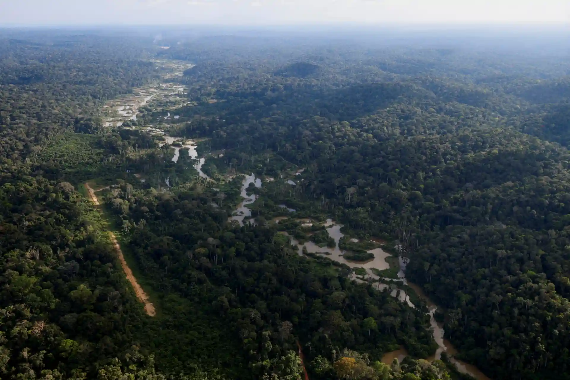 Imagem aérea de uma vasta floresta amazônica com rios sinuosos e vegetação densa, destacando a beleza natural da Amazônia.