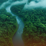 Direito Ambiental em Xeque: 5 temas em Alta na COP30