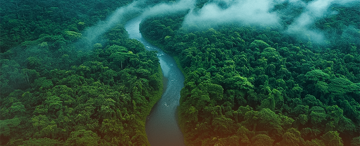 cop30 e direito ambiental