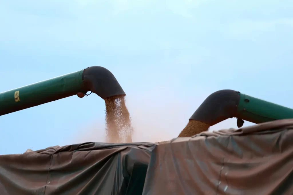 Tanques de soja sendo coletados, com dois tubos despejando soja de alta qualidade em uma comercialização agrícola no Brasil.