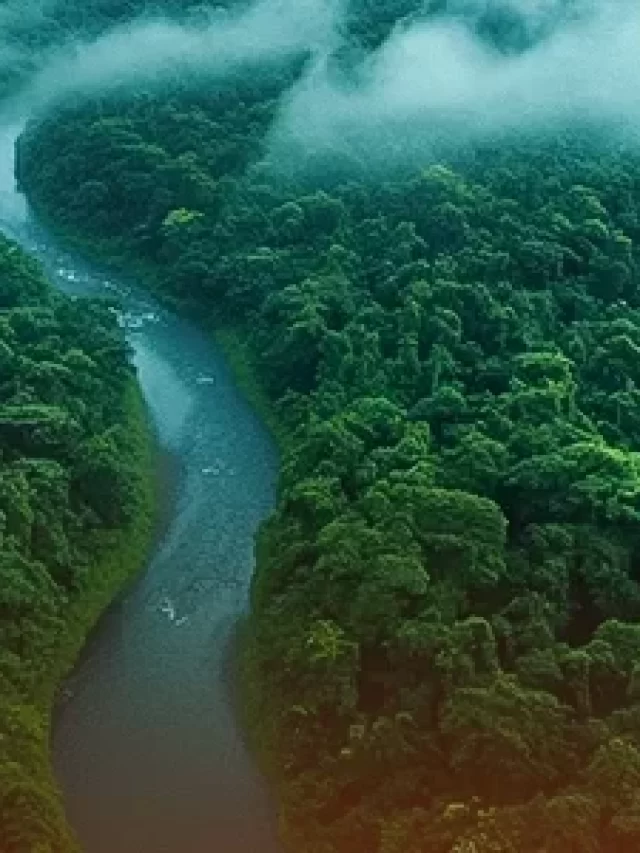 cropped-floresta-amazonica-rio-sinuoso.webp