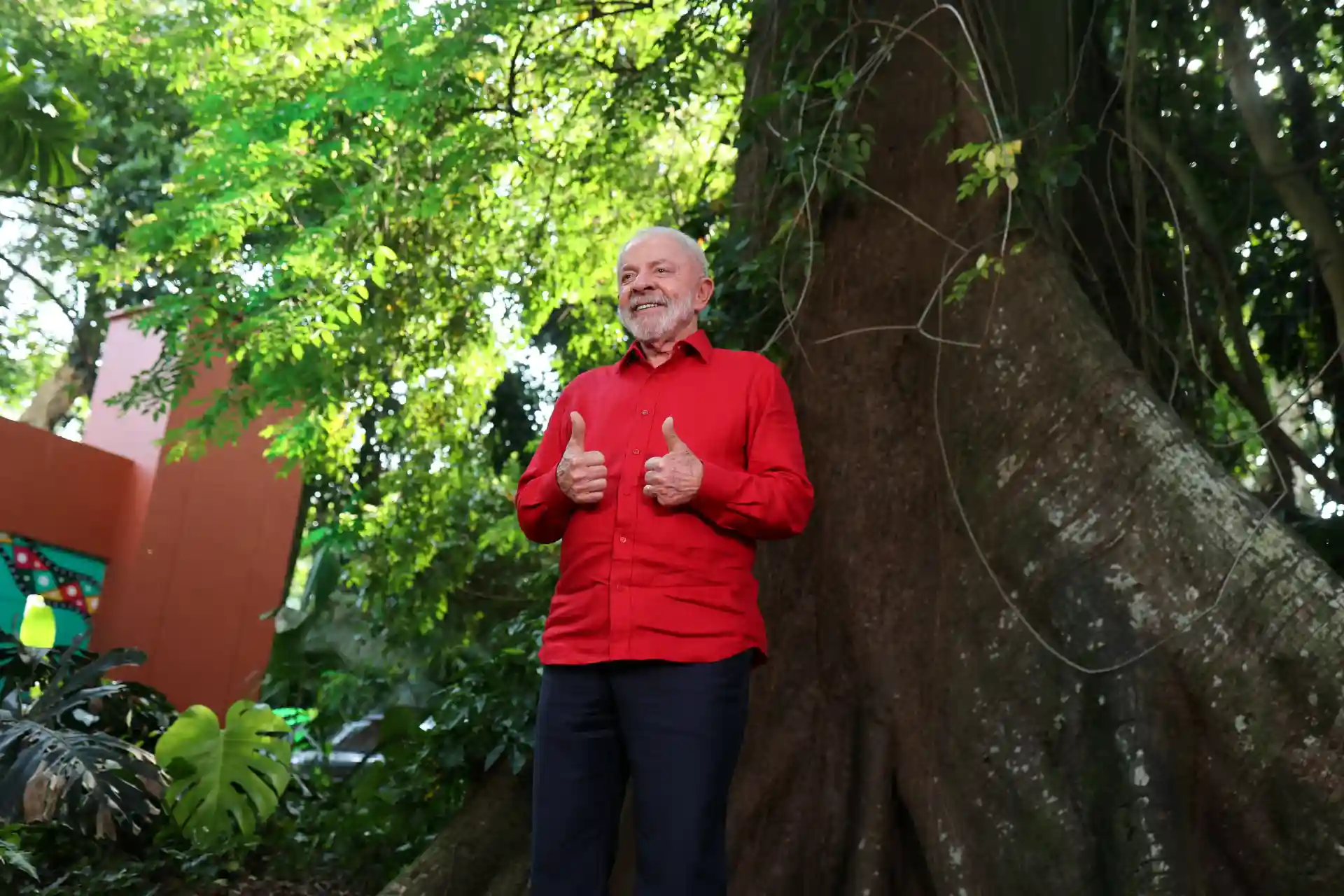 Homem idoso sorridente usando roupa vermelha, fazendo sinal de positivo com as mãos, ao lado de árvore grande em ambiente natural