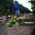 Taxa de desemprego no Brasil renova mínima histórica no tri até outubro, a 5,4%