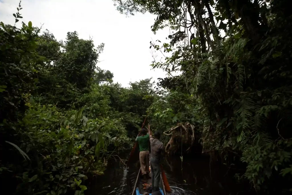 Pessoas navegando por um rio na floresta Amazônica, rodeadas por vegetação densa e exuberante, símbolo da biodiversidade brasileira.