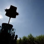 Produção de etanol do centro-sul avança 24,5% na 1ª parte de novembro