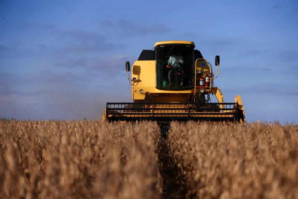 Colheitadeira amarela operando em campo de trigo sob céu parcialmente nublado, usada na agricultura de grãos no Brasil.
