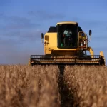 Produção de soja do Brasil deve ser recorde, acima de 182 mi t, estima Agroconsult