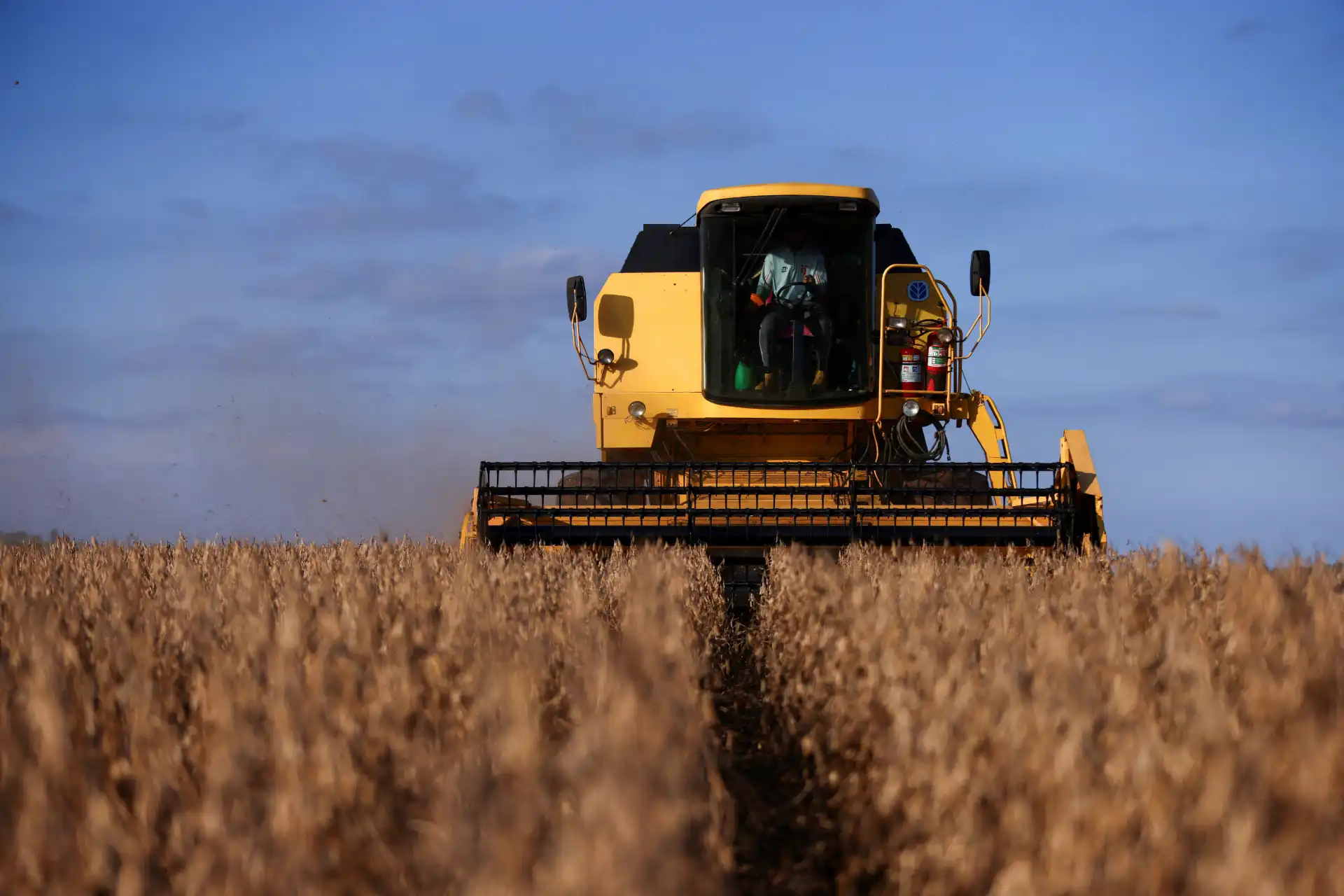 Colheitadeira amarela operando em campo de trigo sob céu parcialmente nublado, usada na agricultura de grãos no Brasil.