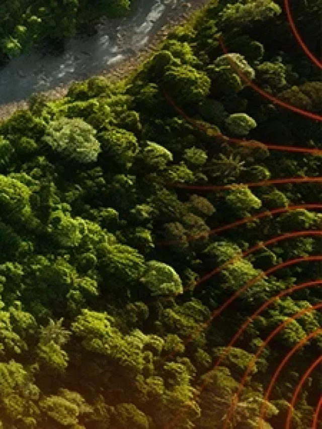 paisagem-natureza-rios-florsta-jpg