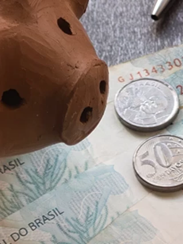 porquinho-de-ceramica-moedas-e-notas-brasil (1)