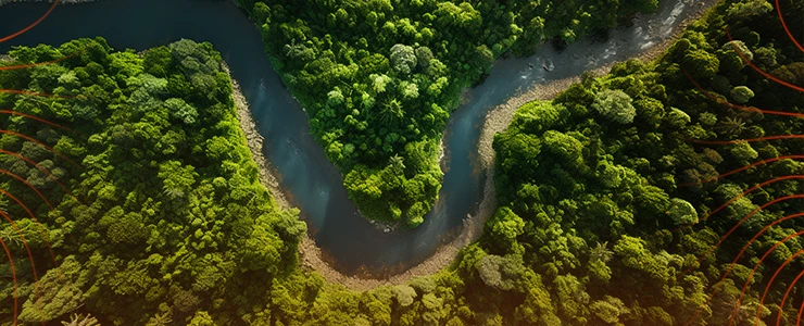 Imagem aérea de um rio sinuoso cortando uma densa floresta verde, com ondulações na água e árvores altas ao redor, capturada em uma ensolarada manhã de primavera. Embargo ambiental