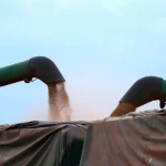 Abiove prevê esmagamento recorde de 61 mi t de soja no Brasil em 2026