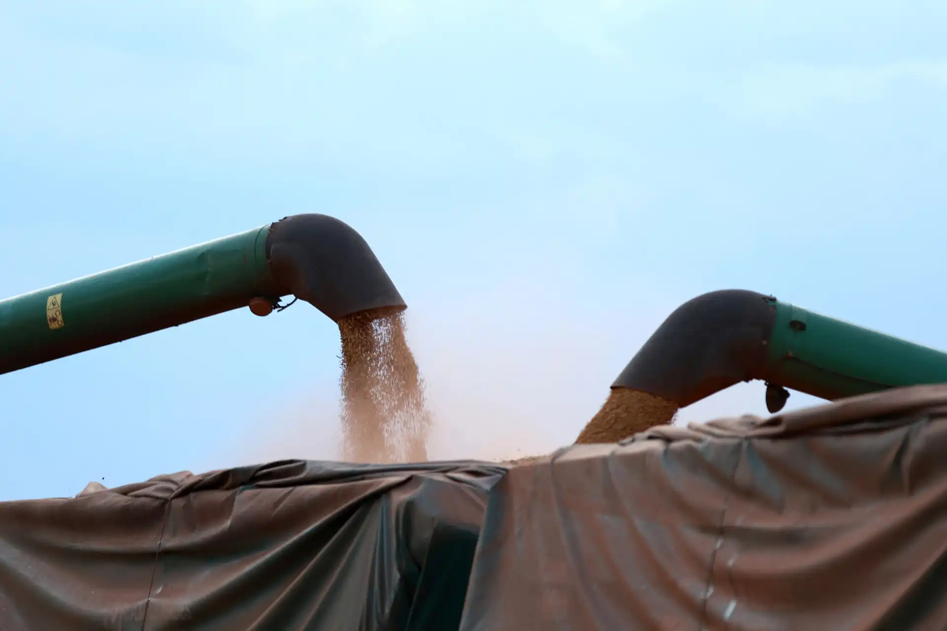 Tanques de armazenamento de grãos despejando produto em silos agrícolas, representando a agricultura e a produção de alimentos em campo.