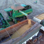 Anec vê aumento da exportação de soja do Brasil em fevereiro, após janeiro abaixo da previsão