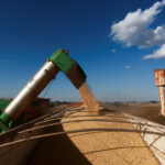 Colheita de soja do Brasil acelera para 30% da área, mas segue atrasada, diz AgRural