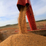 IGP-DI cai mais que o esperado em fevereiro, mostra FGV