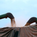 Importações chinesas de soja dos EUA despencam no 1º bimestre; desembarques brasileiros saltam Importações chinesas de soja dos EUA despencam no 1º bimestre; desembarques brasileiros saltam