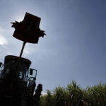 Países se movimentam para aumentar uso de etanol com alta do petróleo, diz Czarnikow