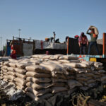 Açúcar cai após queda no preço do petróleo